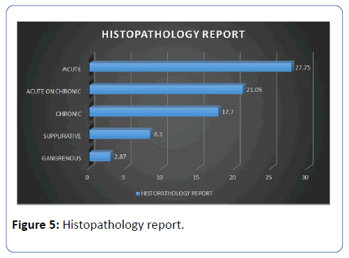archives-medicine-histopathology-report