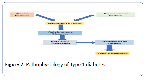 archives-medicine-pathophysiology-diabetes