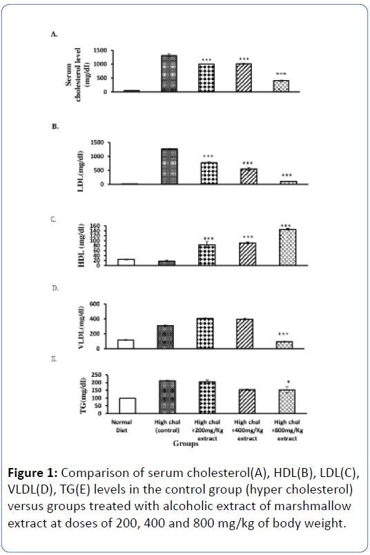 archives-medicine-serum-cholesterol