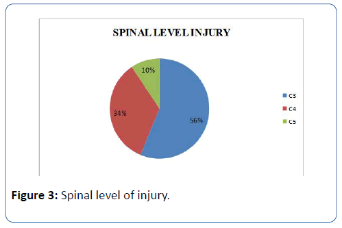 archives-medicine-spinal-level-injury
