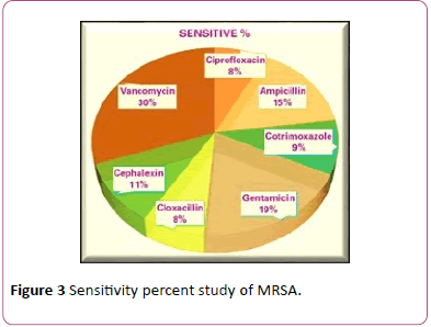 archives-of-clinical-microbiology-MRSA