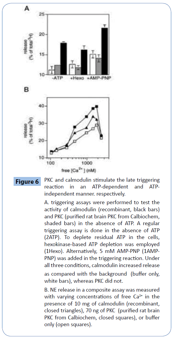 archivesofmedicine-ATP-dependent