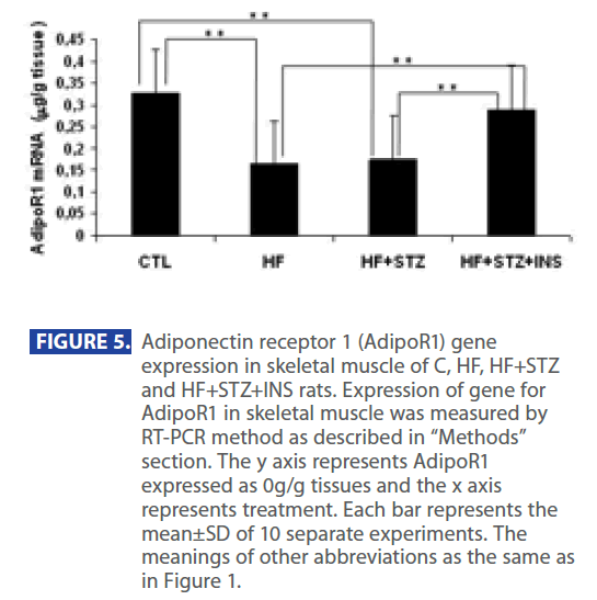 archivesofmedicine-Adiponectin-receptor