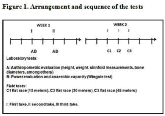 archivesofmedicine-Arrangement-sequence