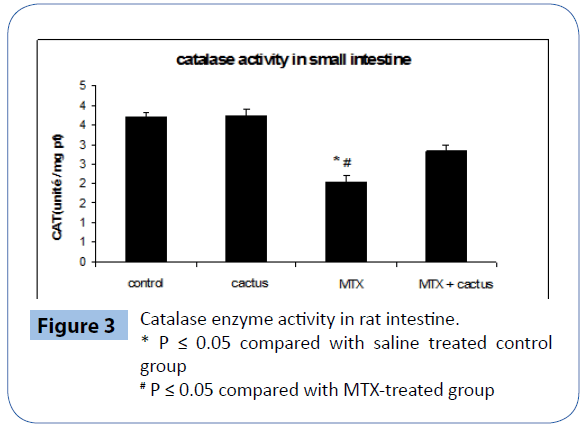 archivesofmedicine-Catalase-enzyme