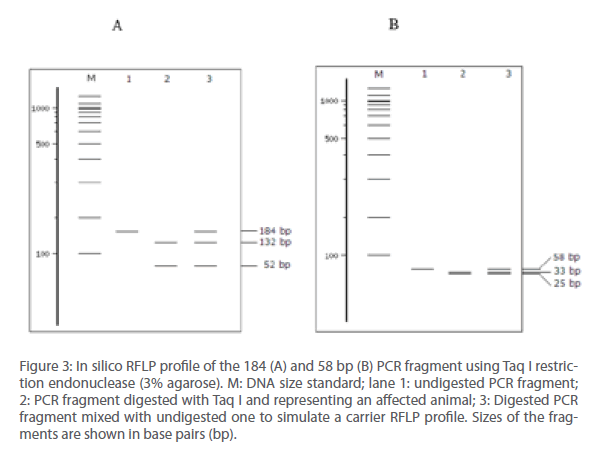 archivesofmedicine-DNA-size-standard