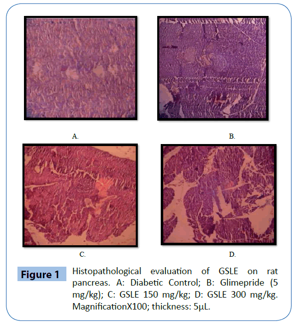 archivesofmedicine-Histopathological-evaluation