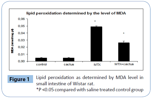 archivesofmedicine-Lipid-peroxidation