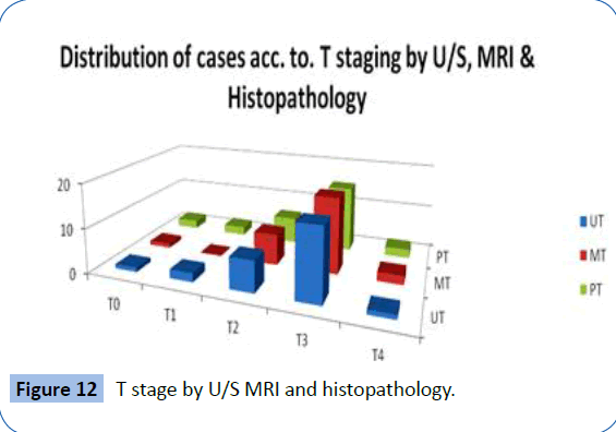 archivesofmedicine-MRI-histopathology