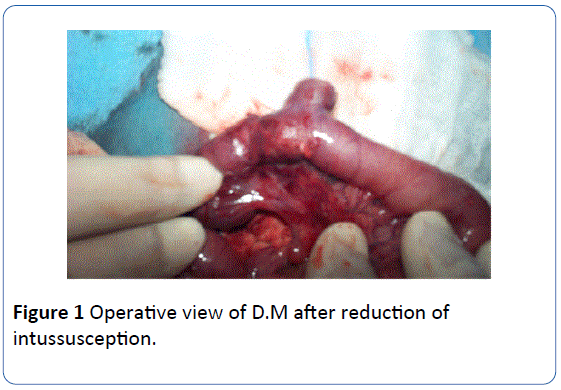 archivesofmedicine-Operative-view