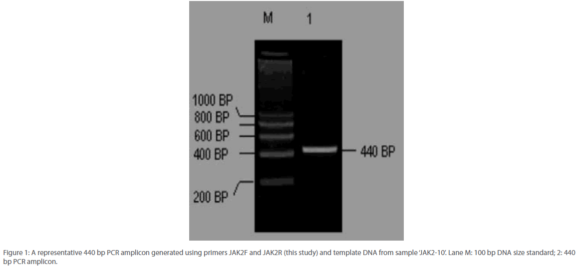 archivesofmedicine-PCR-amplicon