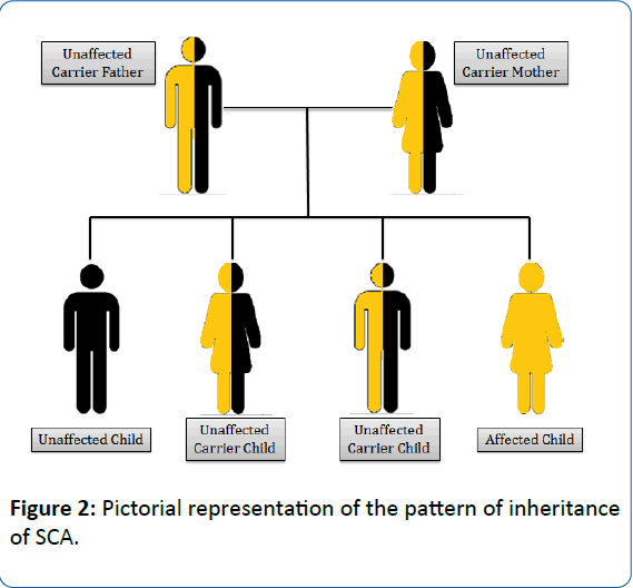 archivesofmedicine-Pictorial-representation