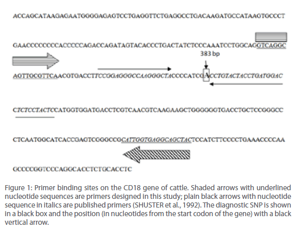 archivesofmedicine-Primer-binding-sites