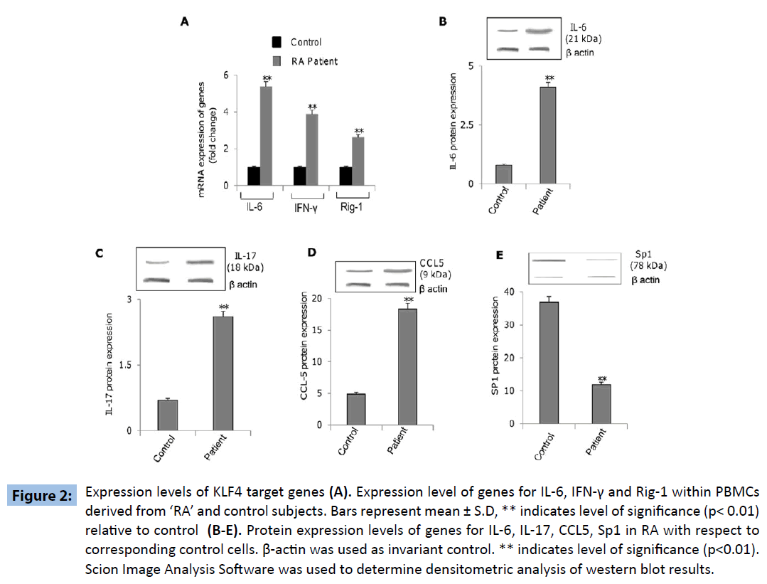 archivesofmedicine-Protein-expression