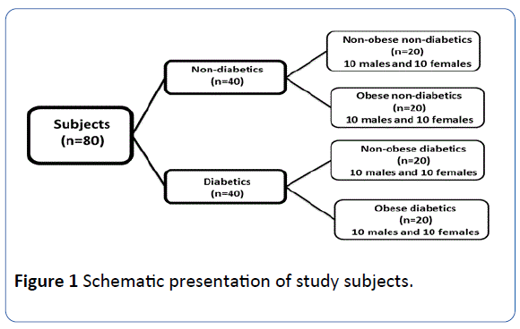 archivesofmedicine-Schematic-presentation