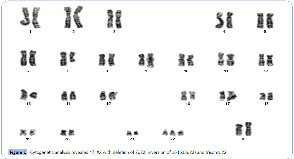 archivesofmedicine-analysis-revealed