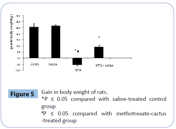 archivesofmedicine-body-weight-rats