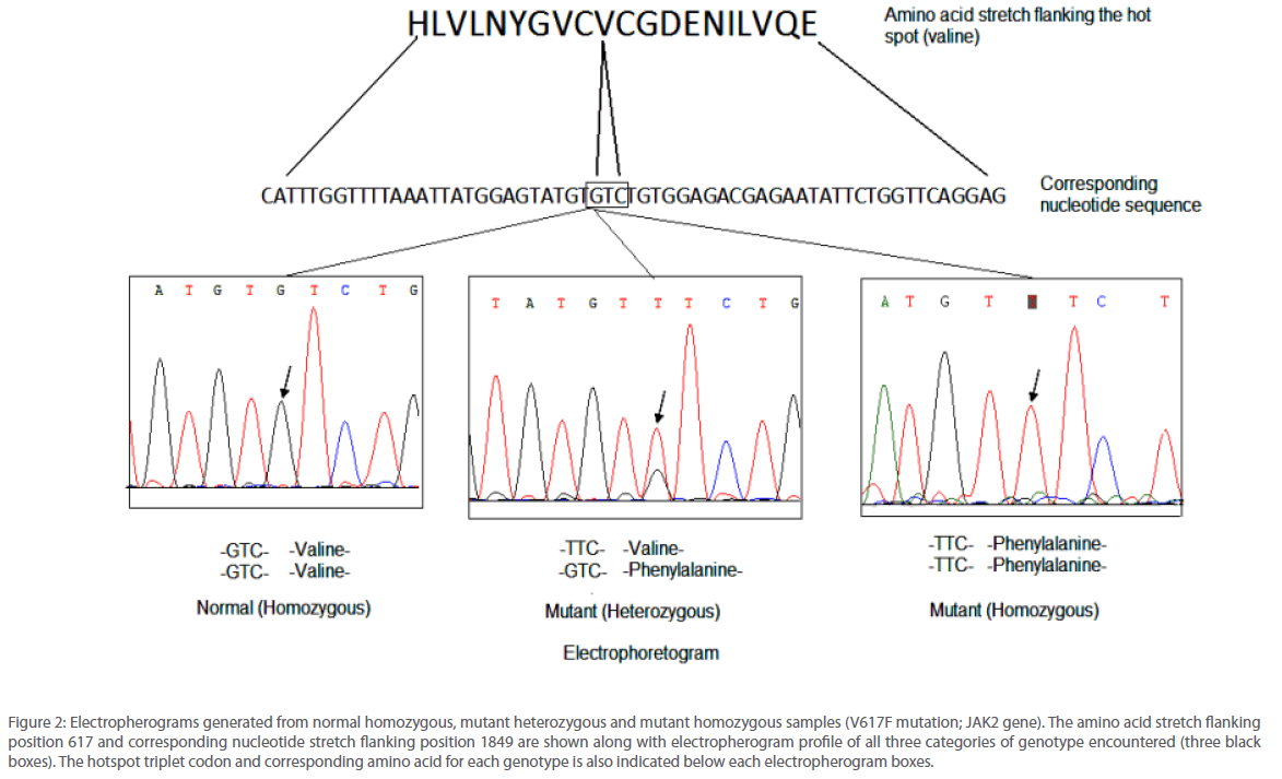 archivesofmedicine-homozygous-samples