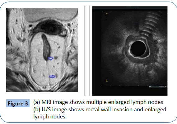 archivesofmedicine-multiple-enlarged