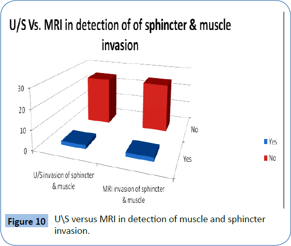 archivesofmedicine-muscle-sphincter