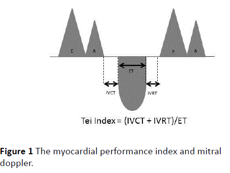archivesofmedicine-myocardial-performance-index