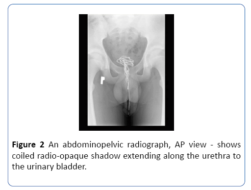 archivesofmedicine-radiograph