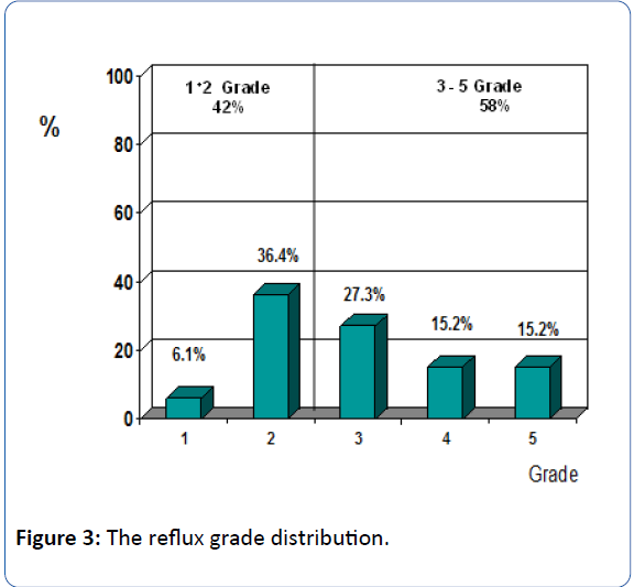 archivesofmedicine-reflux-grade