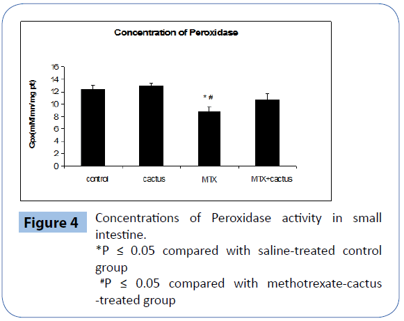 archivesofmedicine-saline-treated-control