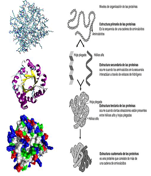 archivosdemedicina