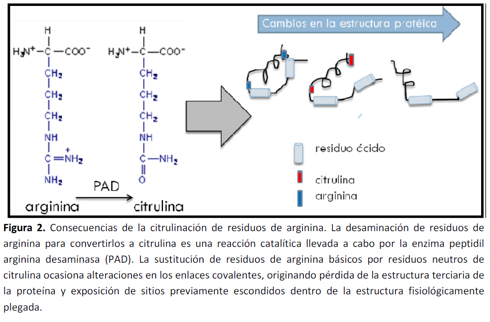 archivosdemedicina-Consecuencias