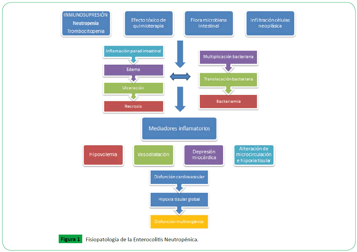 archivosdemedicina-Enterocolitis