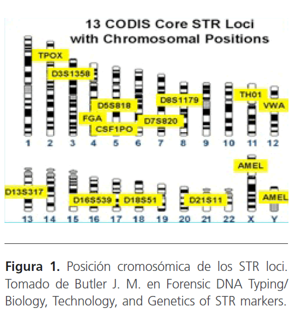 archivosdemedicina-Forensic-Genetics