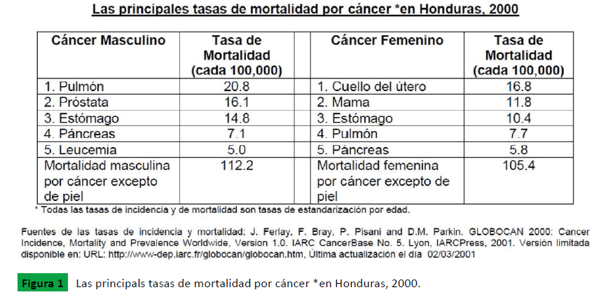 archivosdemedicina-Las-principals-tasas