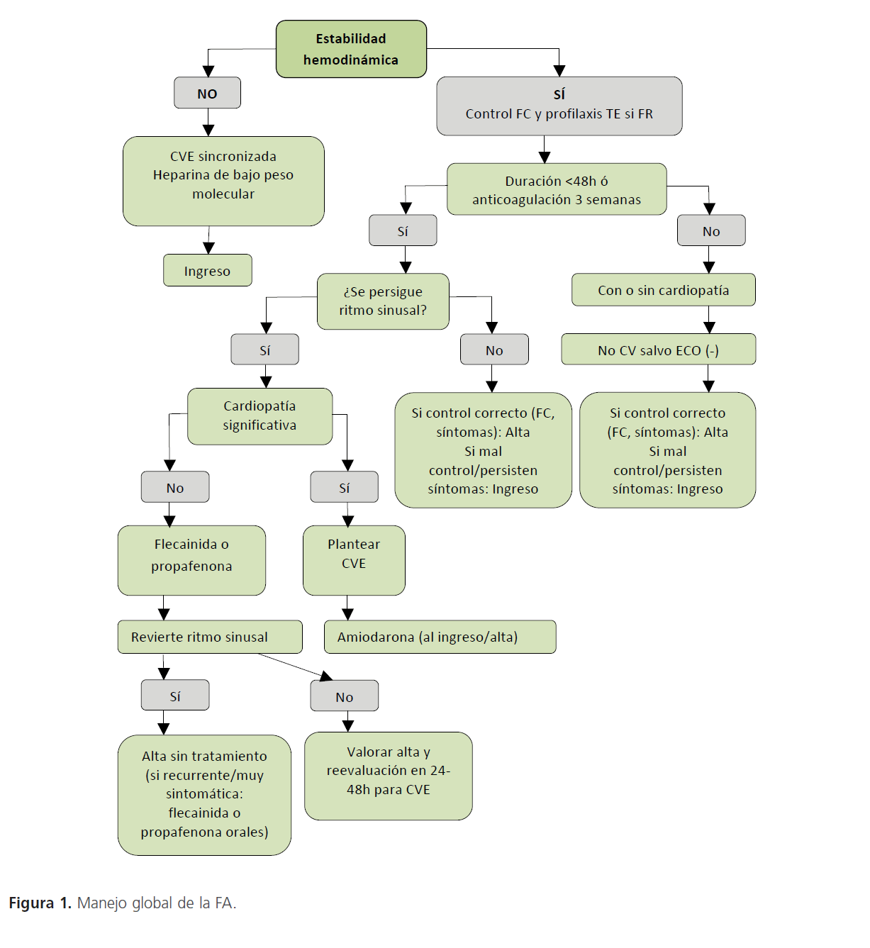 archivosdemedicina-Manejo-globaln