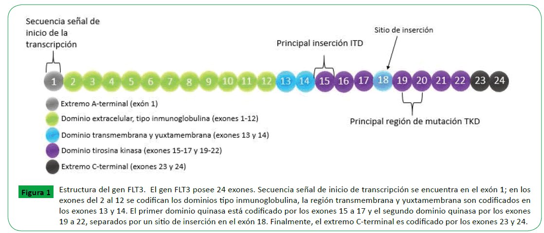 archivosdemedicina-Secuencia