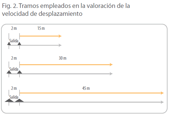 archivosdemedicina-Tramos-empleados