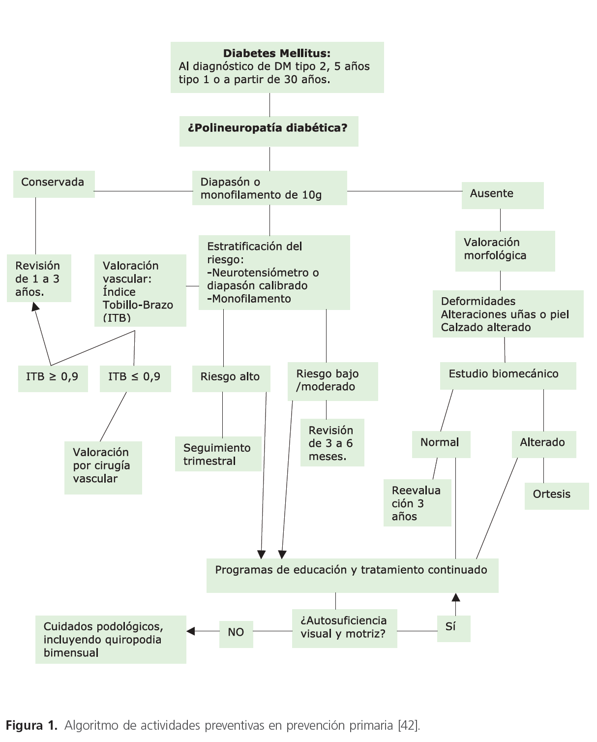 archivosdemedicina-actividades-preventivas