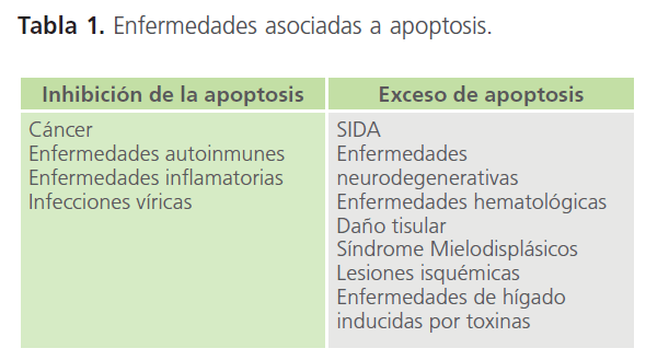archivosdemedicina-asociadas-apoptosis