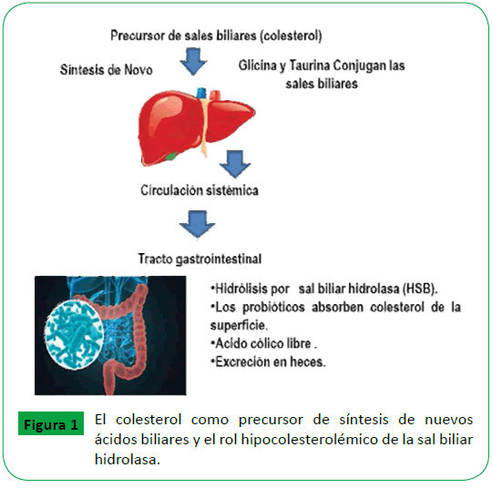 archivosdemedicina-colesterol