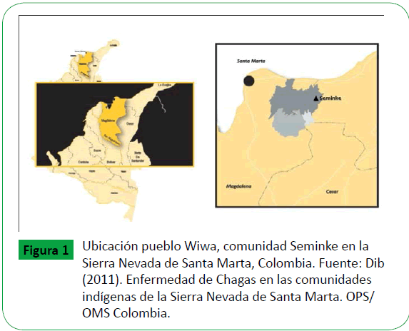 archivosdemedicina-comunidad-Seminke