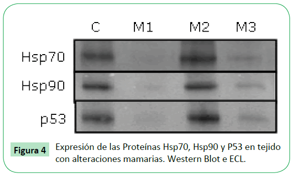 archivosdemedicina-con-alteraciones