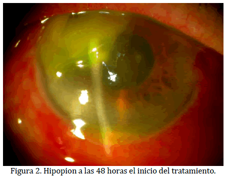 archivosdemedicina-del-tratamiento