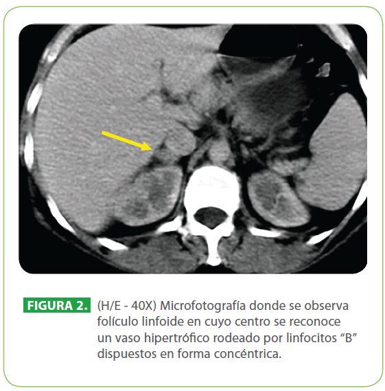 archivosdemedicina-dispuestos