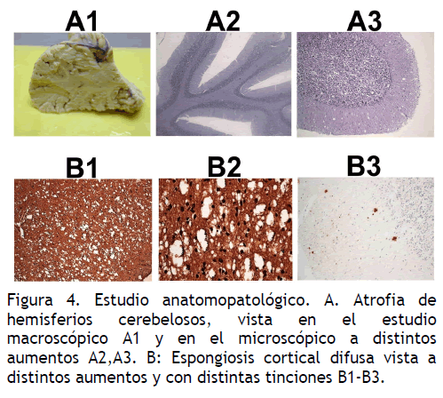 archivosdemedicina-distintas-tinciones