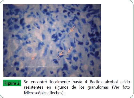 archivosdemedicina-focalmente-hasta