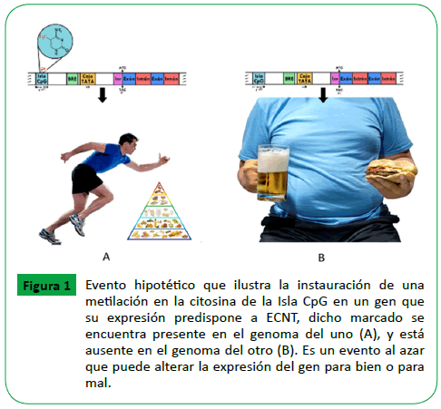 archivosdemedicina-genoma-del-otro