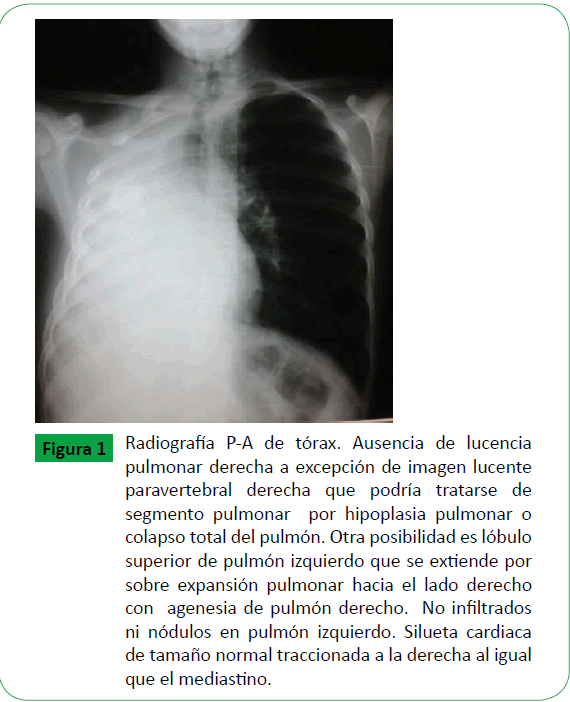 archivosdemedicina-imagen-lucente