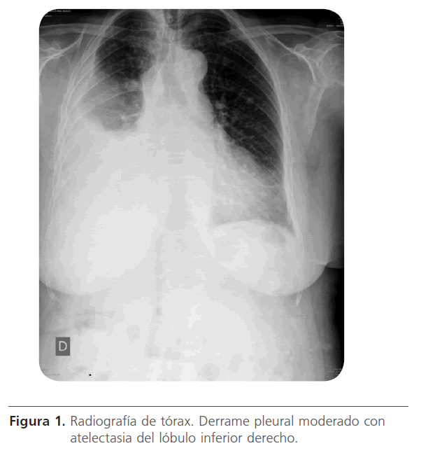 archivosdemedicina-inferior-derecho