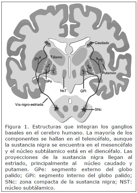 archivosdemedicina-integran-los