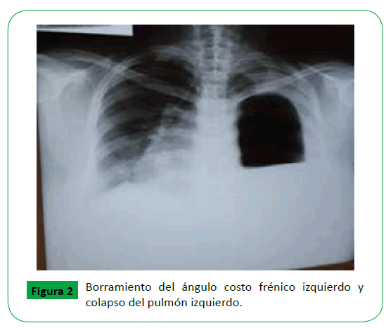 archivosdemedicina-izquierdo